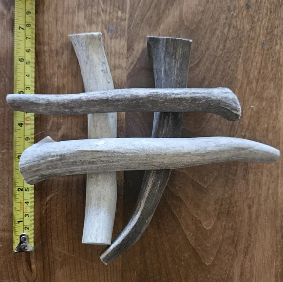 Mule Deer Antler Dog Chews B Grade 4 Pack 5"-7" Long Pieces. - Picture 2 of 2